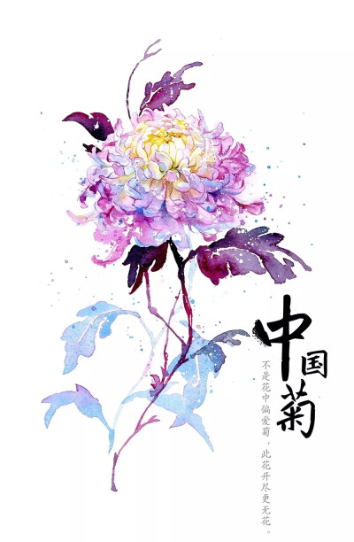 人生就像茶几，上面摆满了杯具。