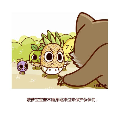 菠萝宝宝