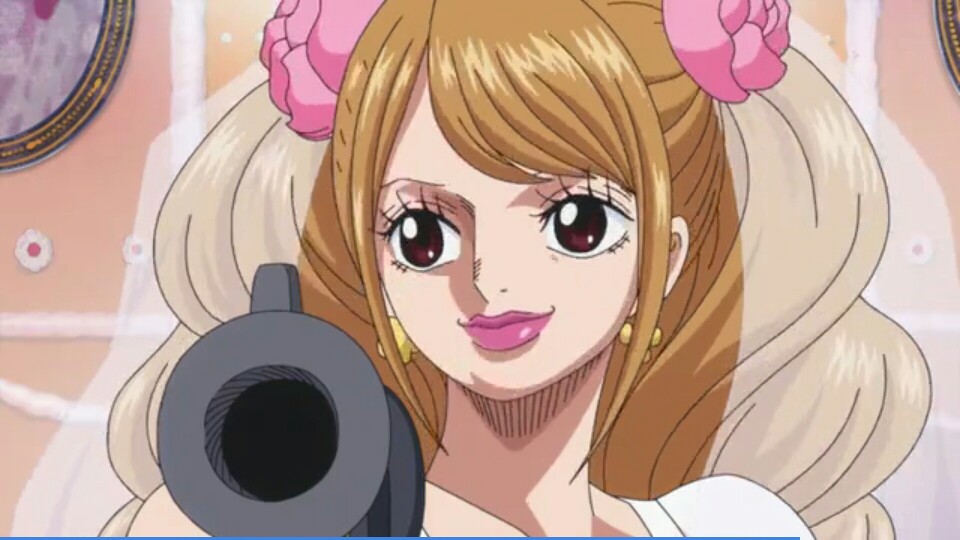 夏洛特布琳万国篇