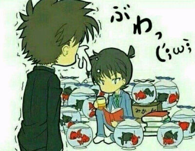 【名侦探柯南】快新