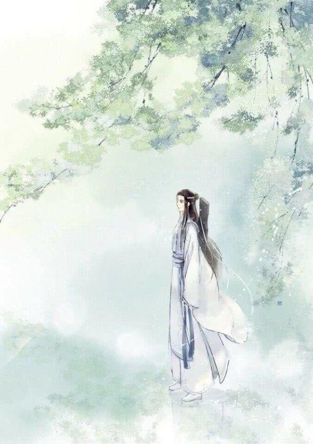 魔道祖师 忘羡