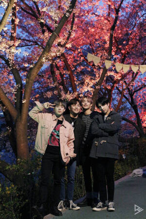 A.C.E official 搬运工