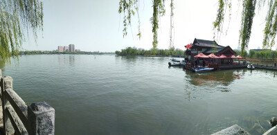 雨荷雨荷你在哪