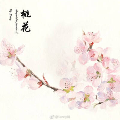 【水彩花卉】在春天种一颗希望，也许会在某一天开花。 【绘画：@Sancy森】 ​​​