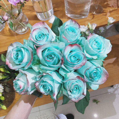 网红玫瑰阿凡达，厄瓜多尔产的Eva Princess Rose,薄荷绿，红色边，像薄荷糖一样的清凉感。