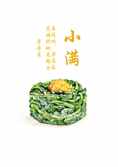 水彩 手绘 美食 插画 小清新 二十四节气