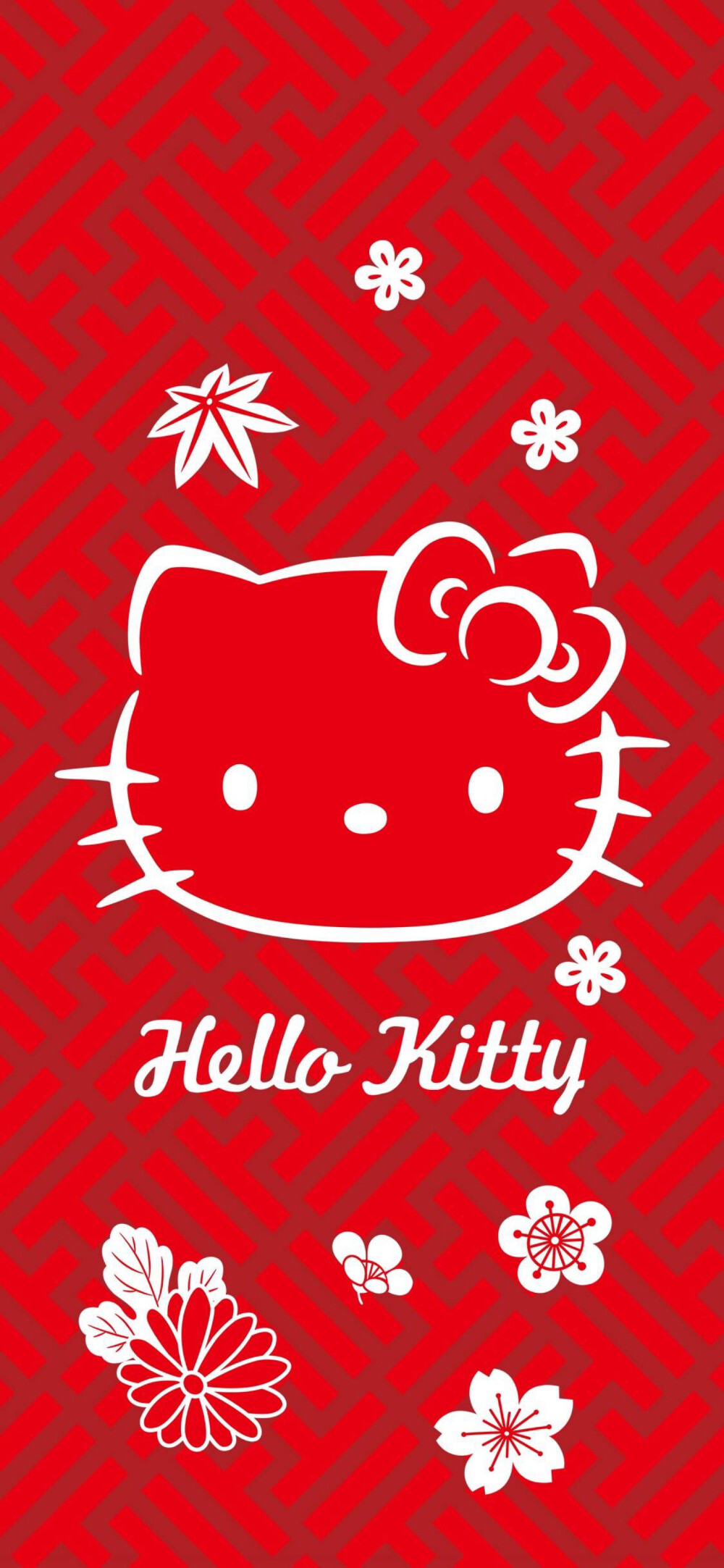 hello my kitty～