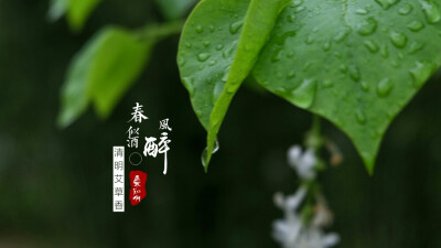 清明时节