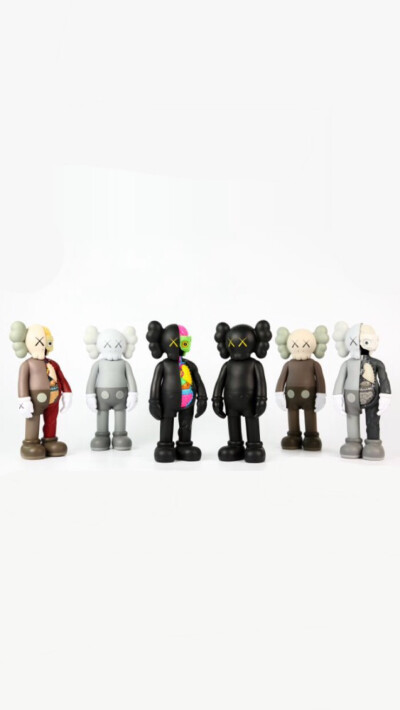 Pidan｜KAWS