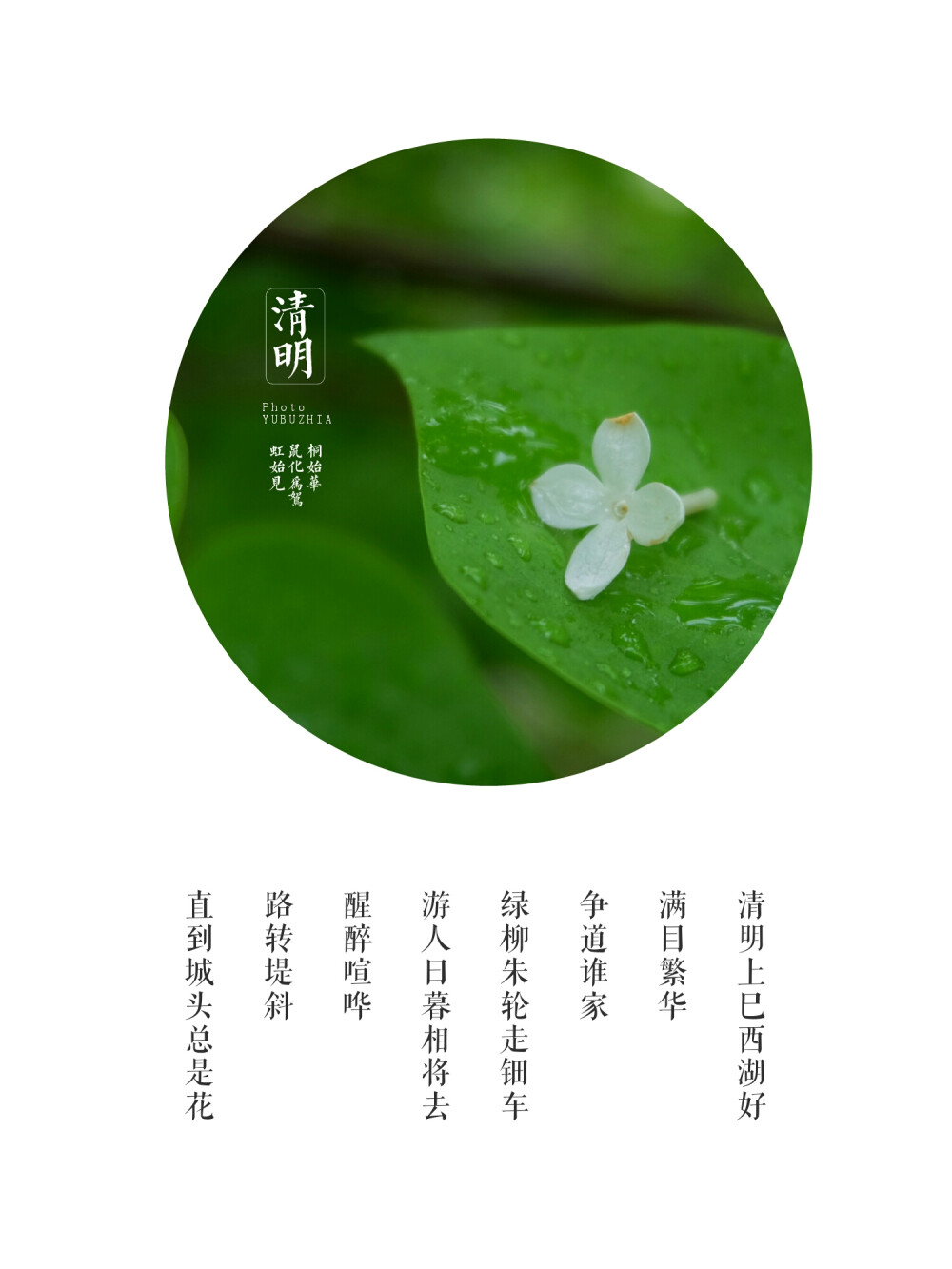 清明时节