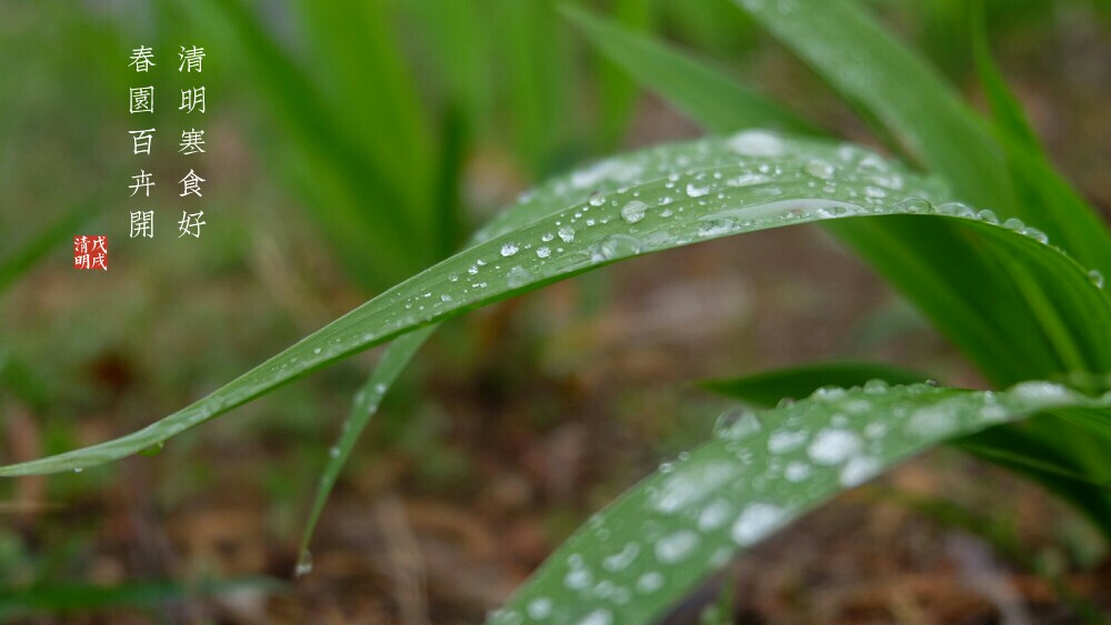 清明时节