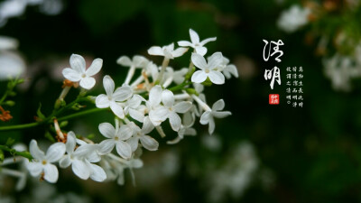 清明时节