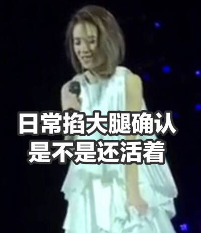 戴佩妮演唱会表情包
拿图点赞
高糊表情包 喵咪 熊猫头 gif 金馆长 斗图 文字系列 厉害了 装逼大神 蛤蛤蛤 魔性 喵咪表情包 文字系列 搞笑 暴走漫画 文字控 表情包 