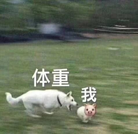 表情包 体重与我 体重