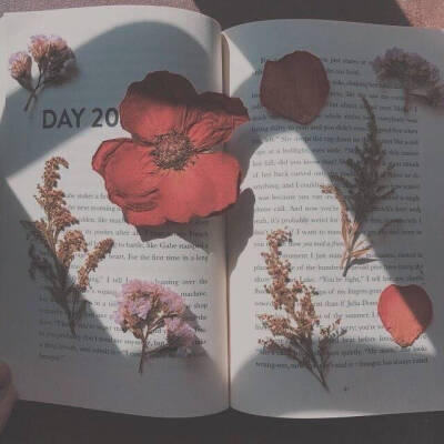 偶尔也会有点小清新