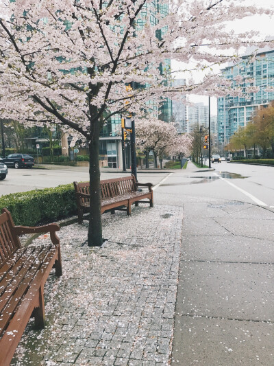 Vancouver 