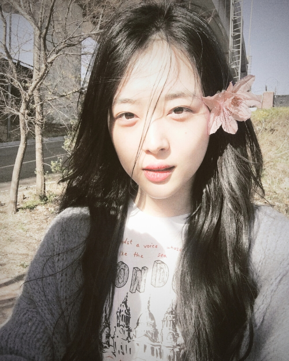 崔雪莉壁纸 头像 Sulli