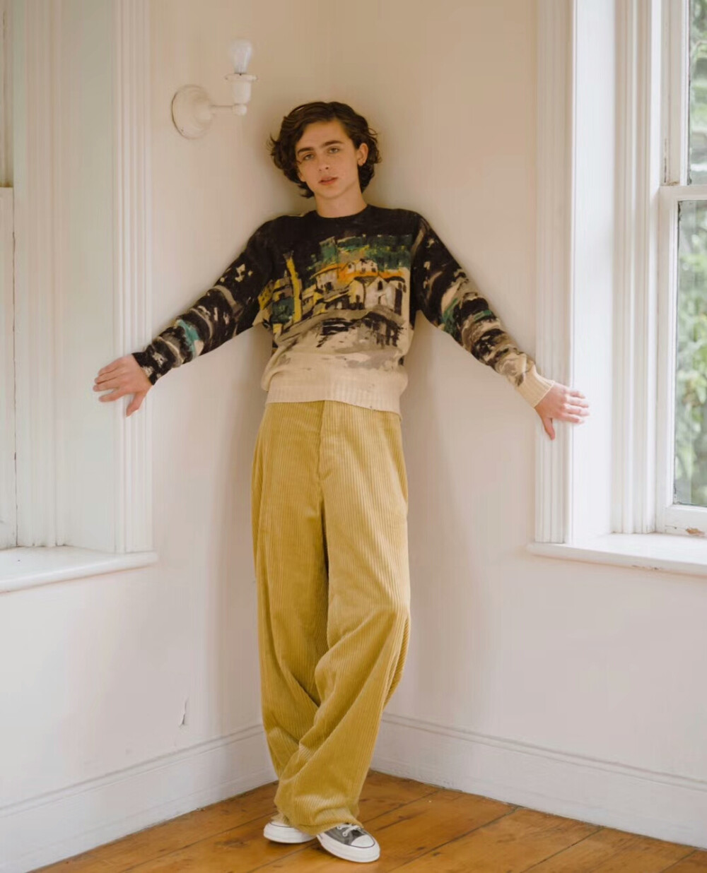 甜茶 提莫西·查拉梅 Timothée Chalamet