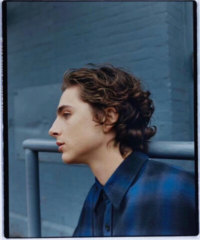 甜茶提莫西·查拉梅 timothée chalamet