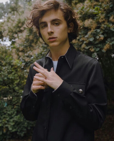 甜茶 提莫西·查拉梅 Timothée Chalamet