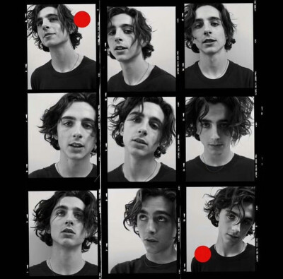 甜茶 提莫西·查拉梅 Timothée Chalamet