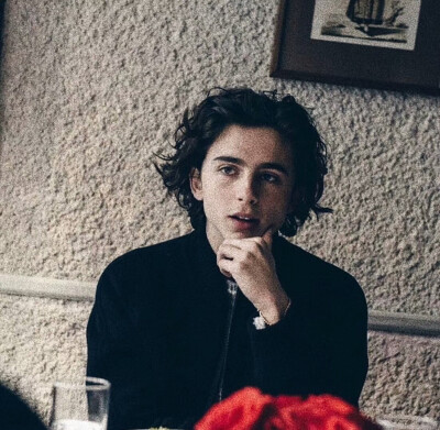 甜茶 提莫西·查拉梅 Timothée Chalamet