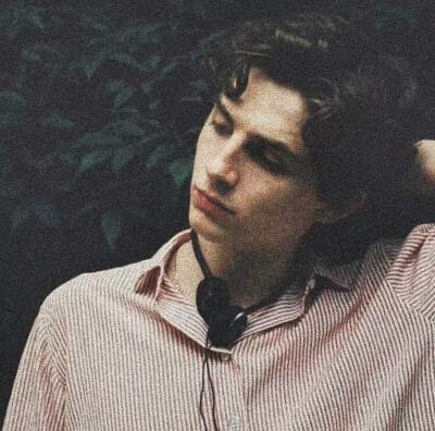 甜茶 提莫西·查拉梅 Timothée Chalamet