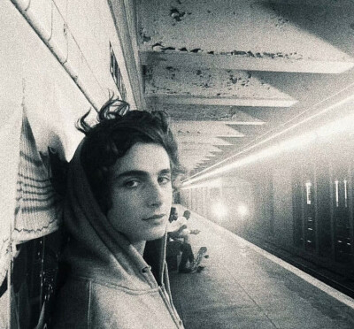 甜茶 提莫西·查拉梅 Timothée Chalamet