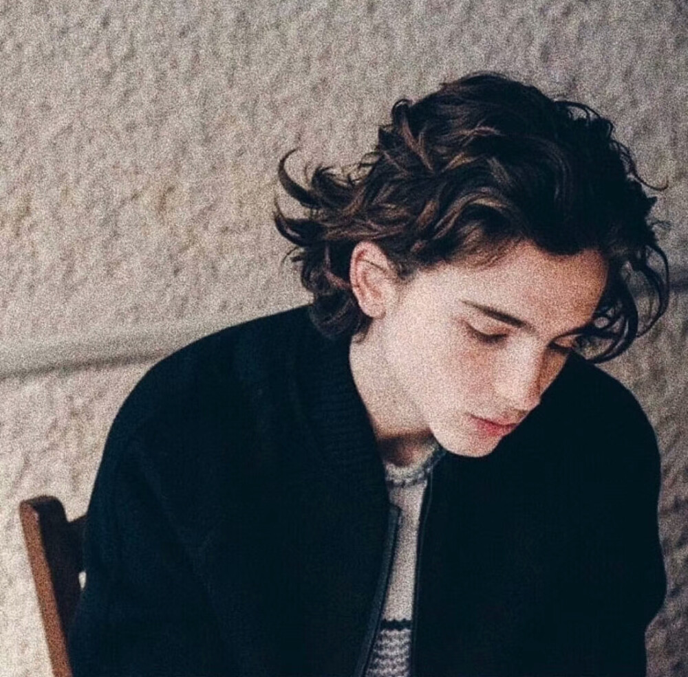 甜茶 提莫西·查拉梅 Timothée Chalamet