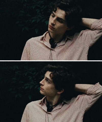 甜茶 提莫西·查拉梅 Timothée Chalamet