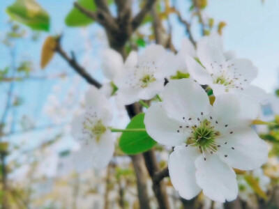 云想衣裳花想容～