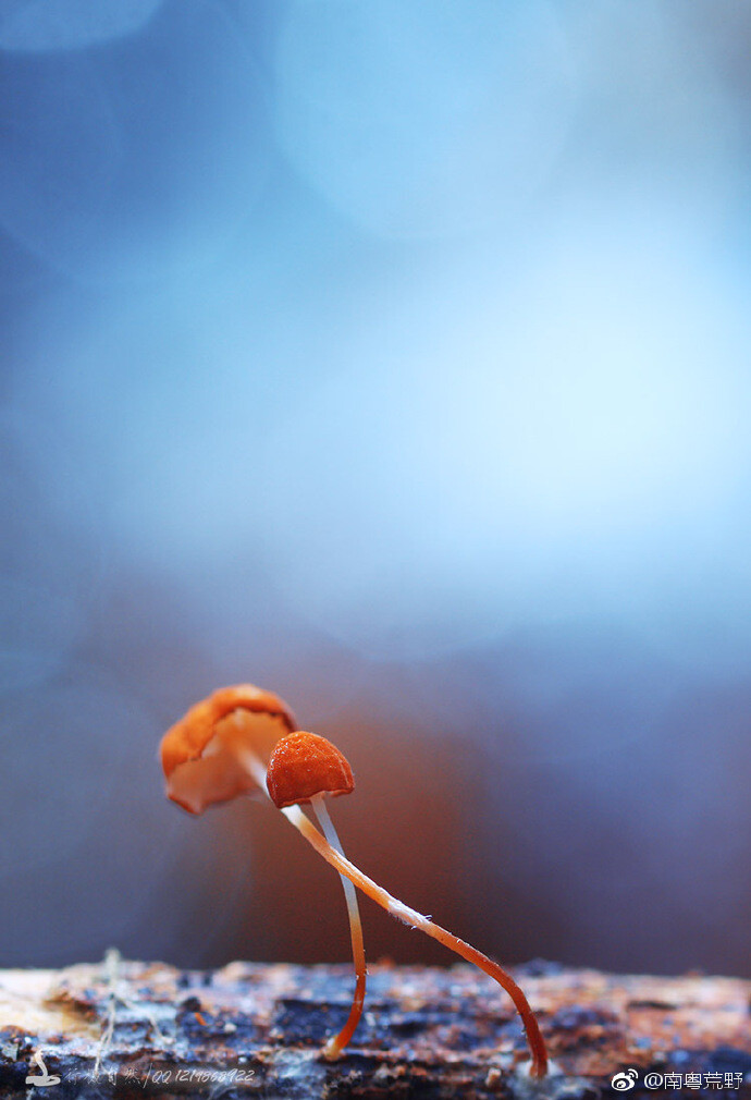 雨后遇见最美的你 ​​​​