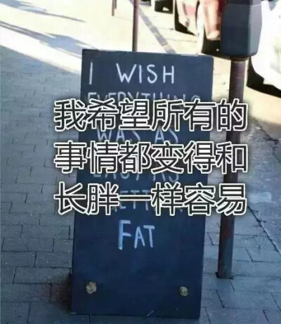 一胖毁所有哈哈哈