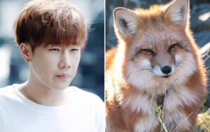 sungkyu