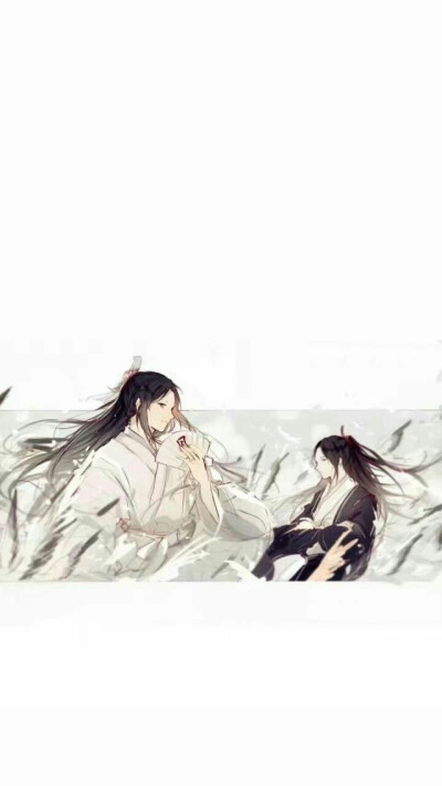 天官赐福『且试天下如尘芥，携手天涯笑天家。』