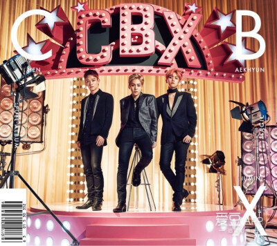 EXO-CBX
帅(≧3≦)