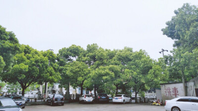 停车场