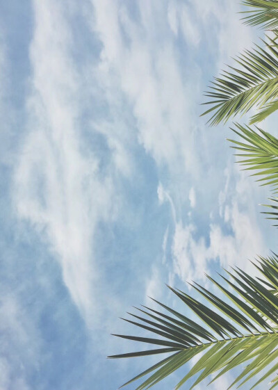 ✒平凡生活里的小特别。