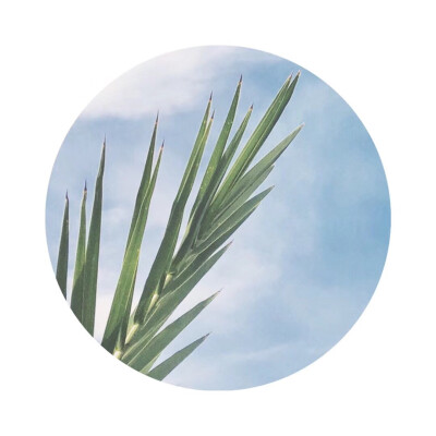 ✒平凡生活里的小特别。