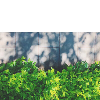 ✒平凡生活里的小特别。