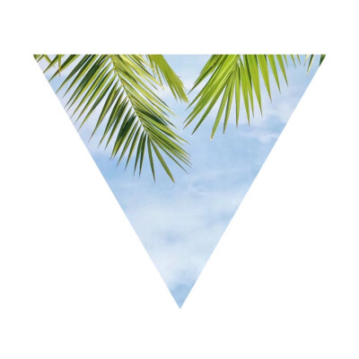 ✒平凡生活里的小特别。