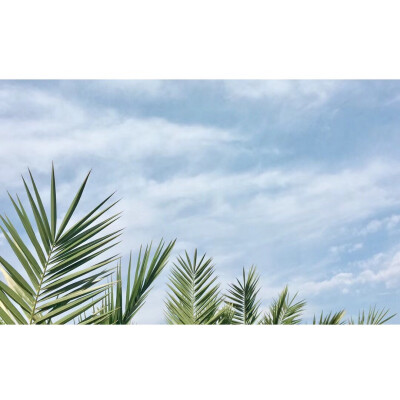 ✒平凡生活里的小特别。