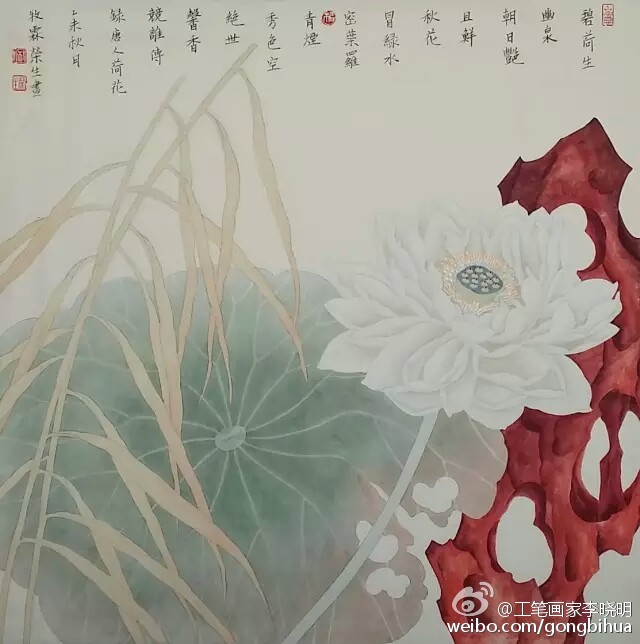 工笔花鸟