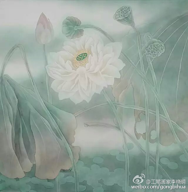 工笔花鸟