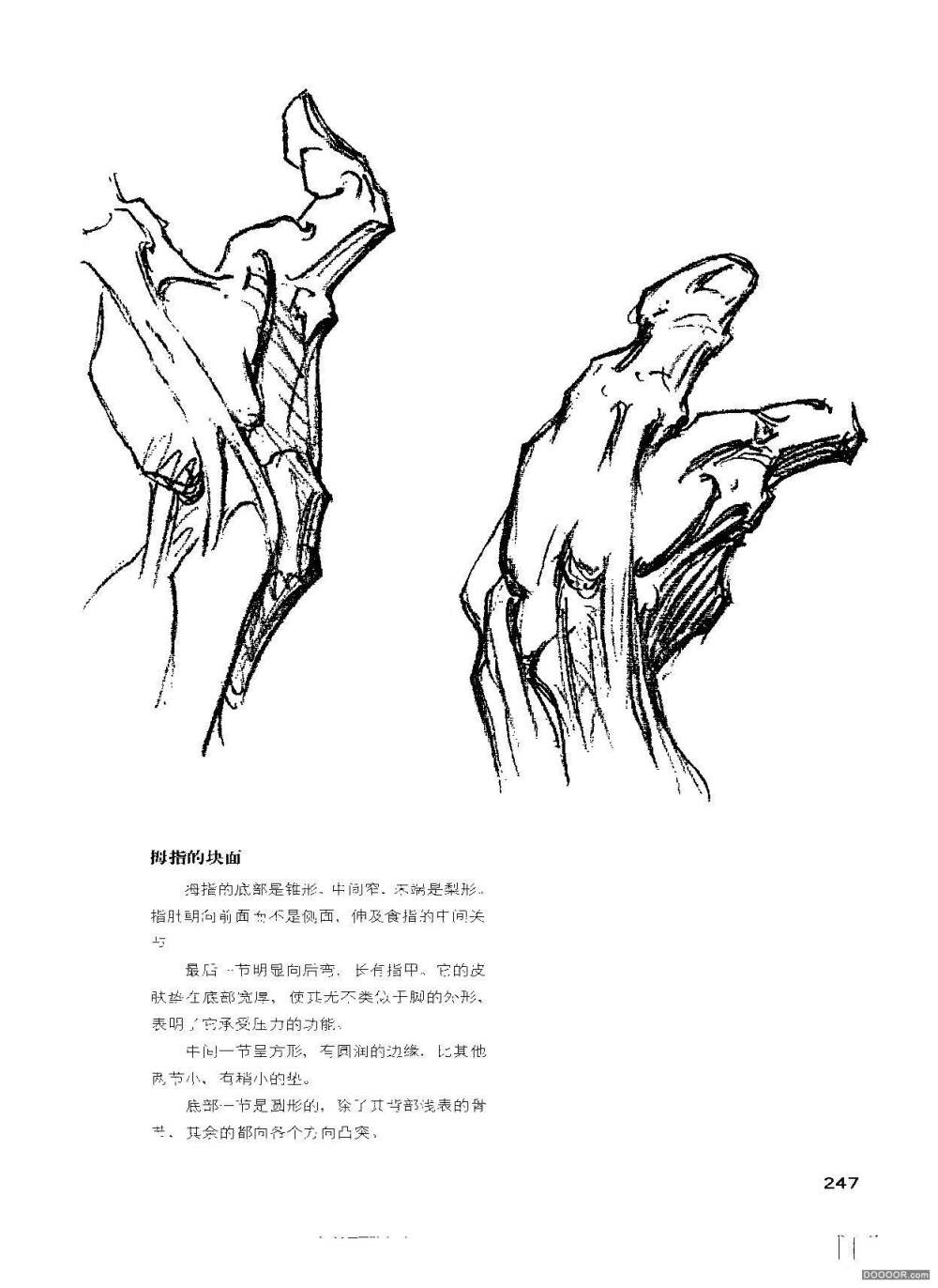 人体结构绘画教学