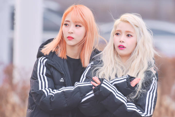 mamamoo