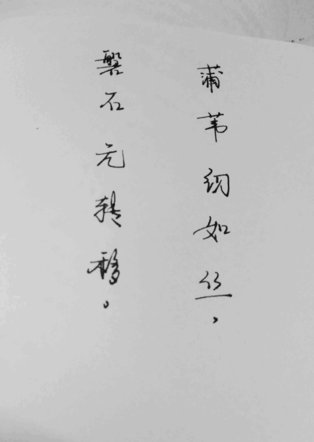 《孔雀东南飞》蒲苇韧如丝，磐石无转移。【妾心如蒲苇，君心如磐石】