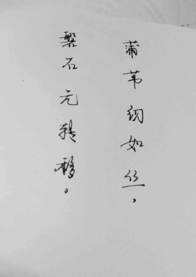 《孔雀东南飞》蒲苇韧如丝，磐石无转移。【妾心如蒲苇，君心如磐石】