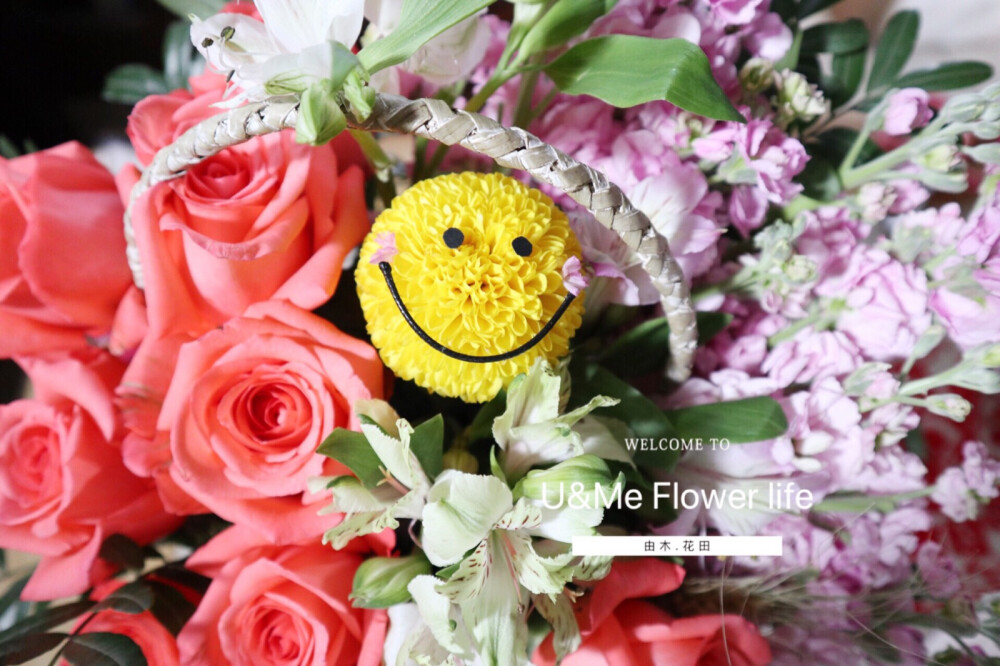 可爱小太阳手提花篮 西宁由木花田