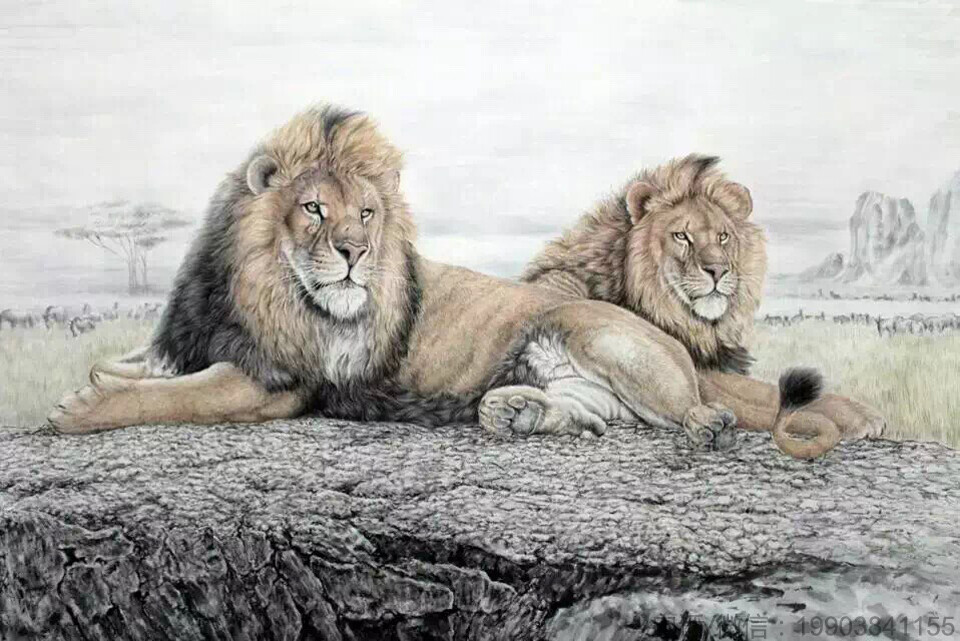 姜宏伟工笔画动物画赞评论更多